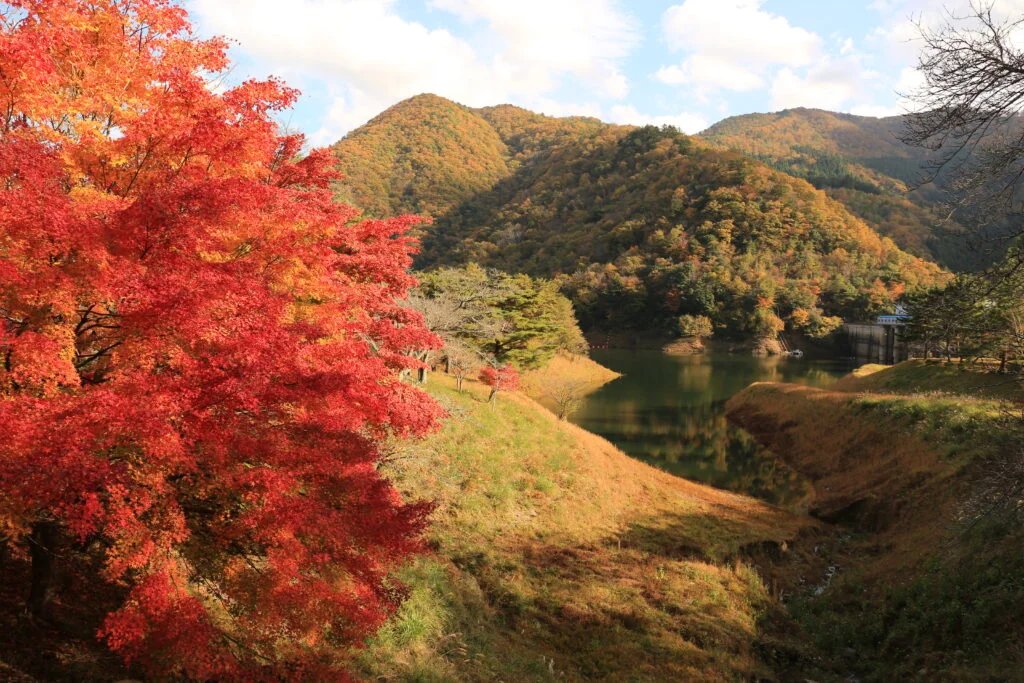 🏞️ 오노 댐(오노 다무) 이미지 10